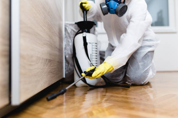 Reliable Walkersville, MD Pest Control Solutions