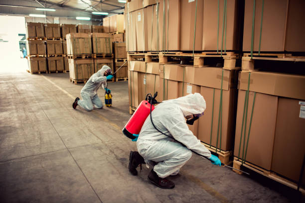 Best Bed Bug Extermination  in Walkersville, MD