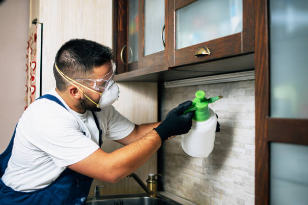 Best Exterminator Services  in Walkersville, MD
