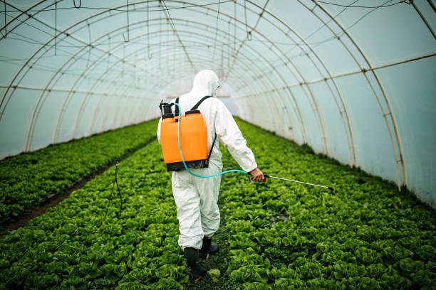 Best Local Pest Control Services  in Walkersville, MD