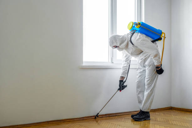 Wasp Removal Services in Walkersville, MD