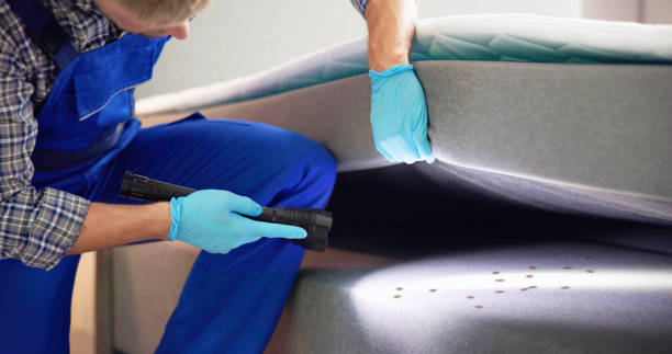 Best Cockroach Control Services  in Walkersville, MD