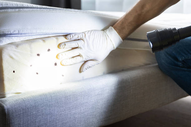 Best Affordable Pest Control Services  in Walkersville, MD