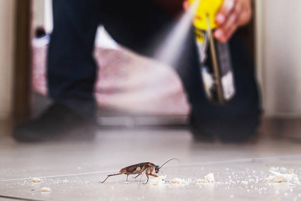 Best Termite Control Services  in Walkersville, MD