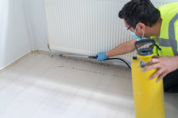 Best Pest Control Near Me  in Walkersville, MD