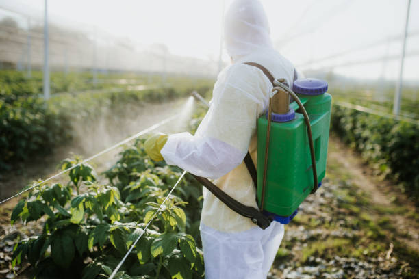 Pest Control Cost in Walkersville, MD